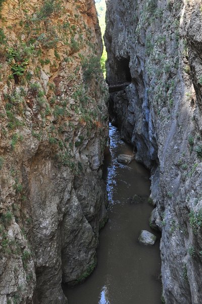 2014.06.18 Zahnradbahn in Griechenland Diakopto–Kalavryta (81)
